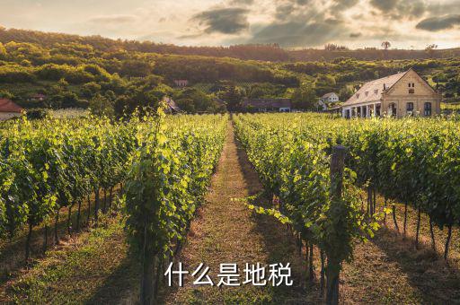 地稅和什么有關(guān)，什么是地稅