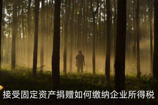 接受固定資產(chǎn)捐贈(zèng)要交什么稅，贈(zèng)送固定資產(chǎn)要繳納營業(yè)稅嗎