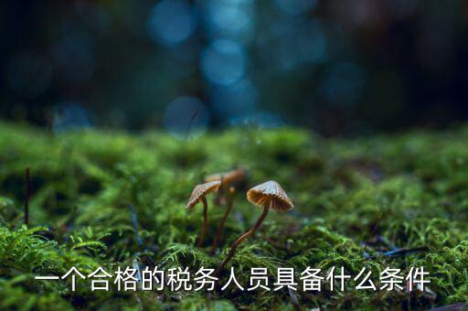 什么是合格的稅務(wù)人員，怎樣做一個(gè)合格的稅務(wù)工作者