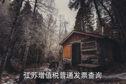 江蘇國稅網(wǎng)站運(yùn)行的環(huán)境是什么，江蘇國稅徐州網(wǎng)站怎么上不去