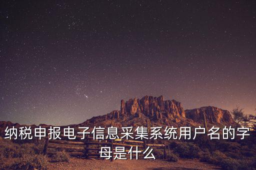 納稅人用戶(hù)編號(hào)是什么，地稅的用戶(hù)名是什么