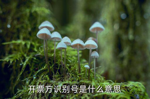 發(fā)票客戶識別號是什么，開票方識別號是什么意思