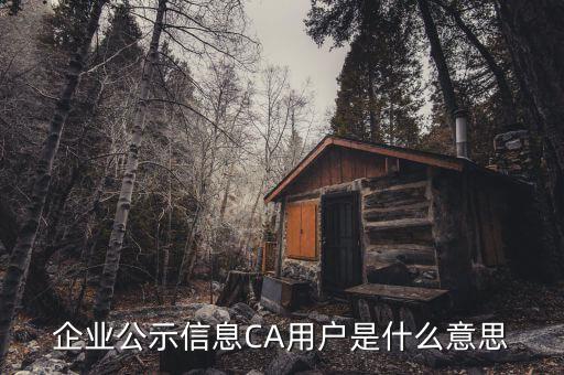 納稅人ca用戶是什么意思，什么是CA用戶啊