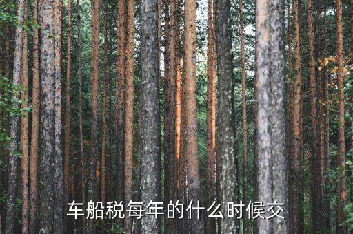 車船稅從什么時間交，車船稅什么時候交比如要交2017年的是2016年12月31日前交還是