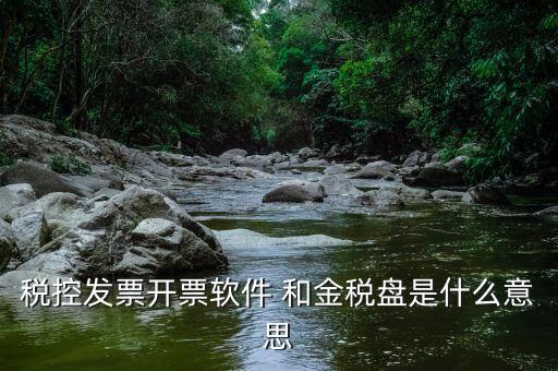 稅控開票軟件什么意思，稅控發(fā)票開票軟件 和金稅盤是什么意思