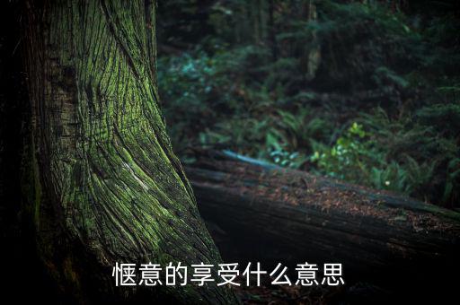 應(yīng)享盡享什么意思，愜意的享受什么意思