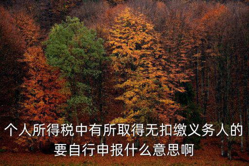 個人所得稅中有所取得無扣繳義務(wù)人的要自行申報(bào)什么意思啊
