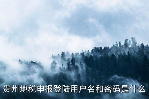 地稅登錄名密碼是什么意思，地稅申報的用戶名和密碼是什么