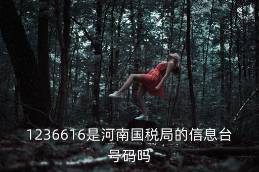 河南省國(guó)家稅務(wù)局賬號(hào)是什么，登錄國(guó)稅網(wǎng)上辦稅服務(wù)廳的用戶名和密碼是什么