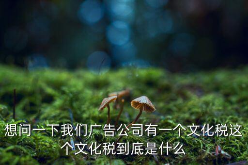 什么是稅務(wù)文化，和諧地稅文化的內(nèi)涵應(yīng)包括哪些方面
