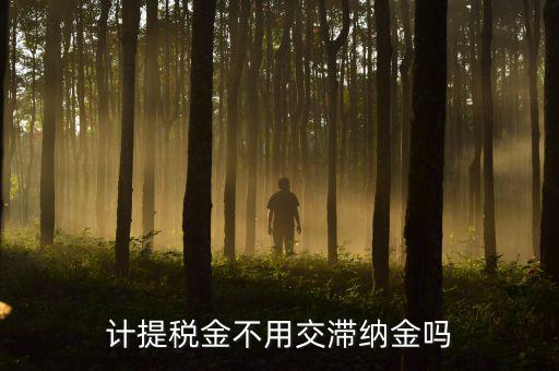 什么稅沒(méi)有滯納金，各種稅的滯納金一樣么