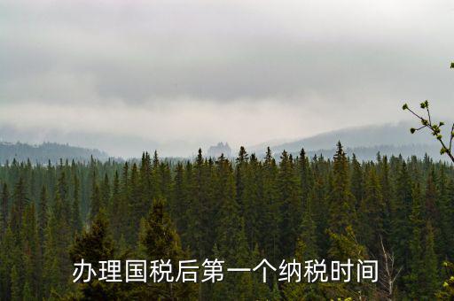 報(bào)稅后什么時(shí)候交稅，辦理國(guó)稅后第一個(gè)納稅時(shí)間
