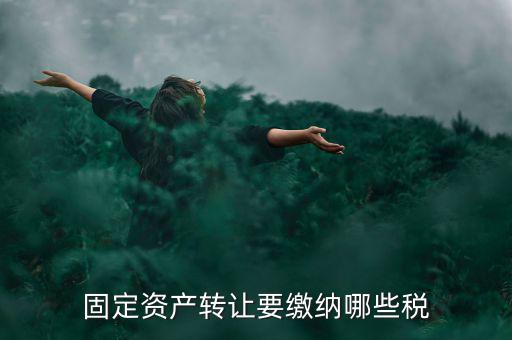 個人轉(zhuǎn)讓資產(chǎn)交什么稅，個人股權(quán)轉(zhuǎn)讓涉及哪些稅