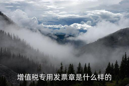 發(fā)票專用章什么樣子，增值稅專用發(fā)票章是什么樣的