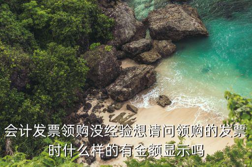 會計(jì)發(fā)票領(lǐng)購沒經(jīng)驗(yàn)想請問領(lǐng)購的發(fā)票時(shí)什么樣的有金額顯示嗎