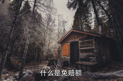 什么是免抵調(diào)庫，什么叫保險(xiǎn)理賠免調(diào)查件