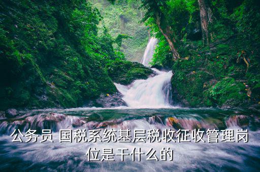基層稅務(wù)機(jī)關(guān)做什么的，公務(wù)員 國稅系統(tǒng)基層稅收征收管理崗位是干什么的