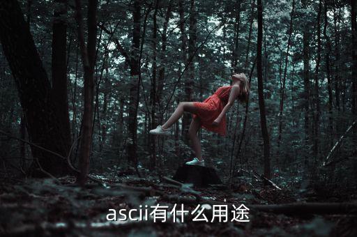 稅優(yōu)識(shí)別碼有什么用，ascii有什么用途