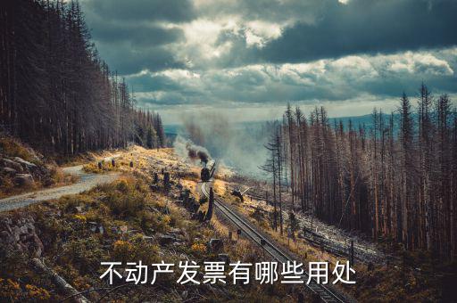 有不動(dòng)產(chǎn)發(fā)票代表什么，不動(dòng)產(chǎn)發(fā)票有哪些用處