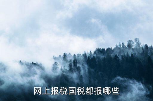 國(guó)稅申報(bào)什么，國(guó)稅局是報(bào)什么稅