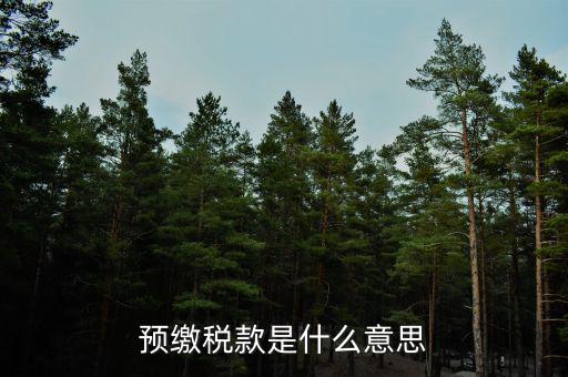 已預(yù)繳稅費(fèi)指什么，預(yù)繳稅款是什么意思