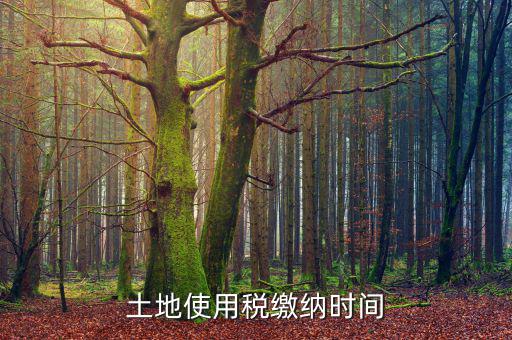 耕地占用稅什么時候交，土地契稅什么時候交