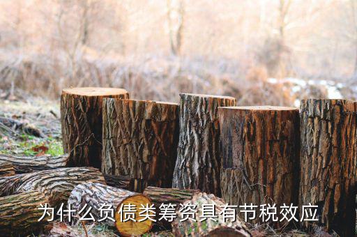 什么是節(jié)稅，為什么負(fù)債類籌資具有節(jié)稅效應(yīng)