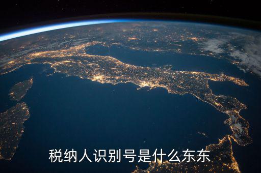 企業(yè)稅務(wù)識(shí)別號(hào)是什么意思，稅納人識(shí)別號(hào)是什么東東