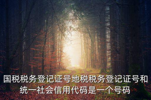 國稅稅務(wù)登記證號地稅稅務(wù)登記證號和統(tǒng)一社會信用代碼是一個(gè)號碼