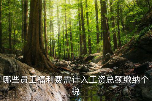 什么樣的福利費要交個稅，什么樣的福利費不需要交納個人所得稅呢