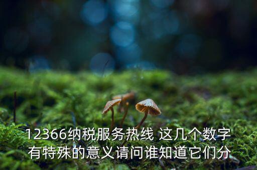 12366納稅服務(wù)熱線 這幾個(gè)數(shù)字 有特殊的意義請問誰知道它們分