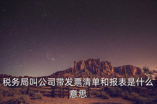 發(fā)票清單是什么意思，稅務(wù)局叫公司帶發(fā)票清單和報(bào)表是什么意思