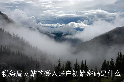廣東國稅網(wǎng)登錄密碼是什么意思，稅務(wù)局網(wǎng)站的登入賬戶初始密碼是什么