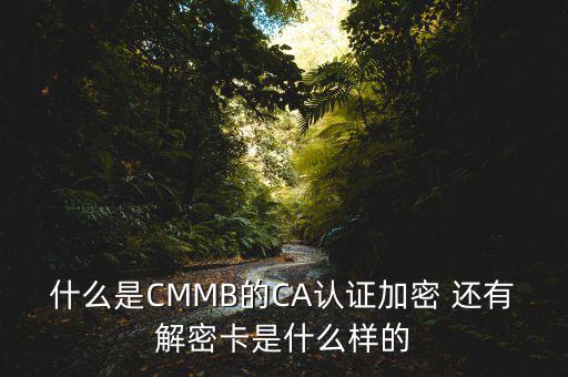 東莞ca證書密碼是什么意思，機構(gòu)代碼的ca證書的PIN碼是什么我用CA證書登陸國稅時提示詳細(xì)