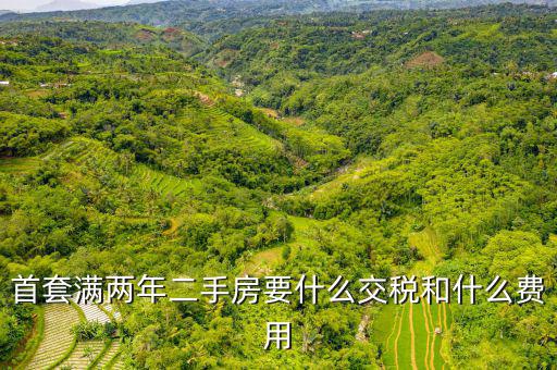 賣(mài)滿2年的房子交什么稅，商品房滿2年了出售的話需要交哪些稅詳細(xì)點(diǎn)