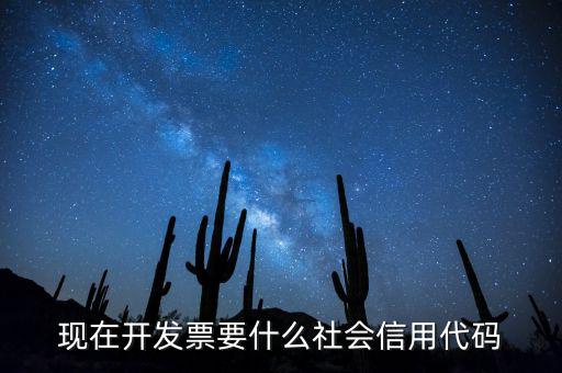 發(fā)票的社會(huì)信用代碼是什么意思，現(xiàn)在開(kāi)發(fā)票要的社會(huì)信用代碼是誰(shuí)的代碼