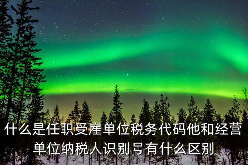報稅自然人識別號是什么，個稅申報顯示存在相同唯一識別號是什么意思