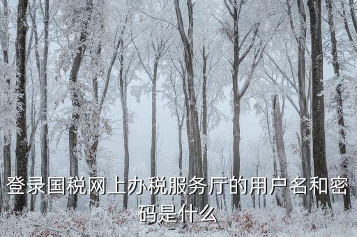 什么是電子稅務(wù)局登錄賬號(hào)，登錄國(guó)稅網(wǎng)上辦稅服務(wù)廳的用戶名和密碼是什么