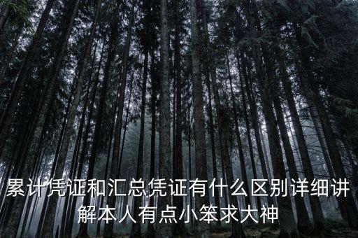 什么是累計(jì)發(fā)票，什么是累計(jì)發(fā)票