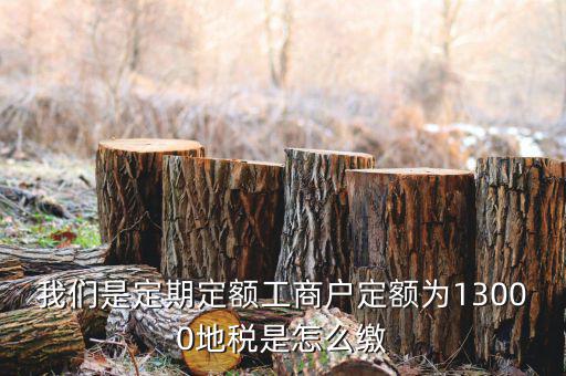 地稅定期定額戶是什么意思，我們是定期定額工商戶定額為13000地稅是怎么繳