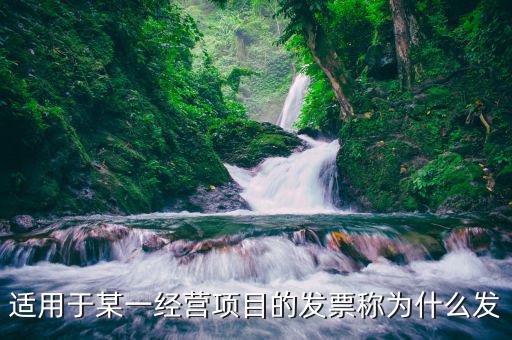 適用于某一經營項目的發(fā)票稱為什么發(fā)