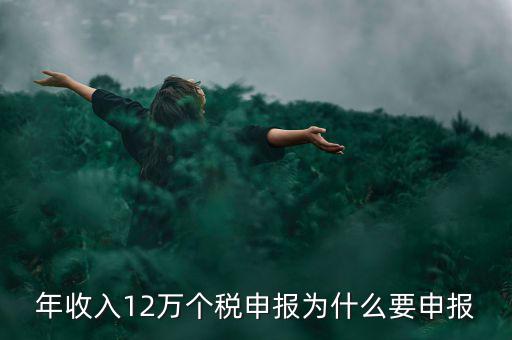 為什么12萬個稅申報表，12萬以上個人所得稅申報是什么意思