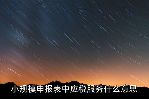納稅服務是指什么意思，納稅服務股具體是做什么啊