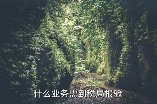 什么是稅務(wù)報(bào)驗(yàn)，地稅發(fā)票報(bào)驗(yàn)是什么回事啊 怎么報(bào)驗(yàn)什么時(shí)候報(bào)驗(yàn)啊