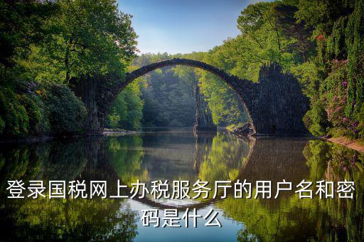 國稅登錄密碼是什么密碼，國稅第一次網(wǎng)上申報的登陸密碼是什么