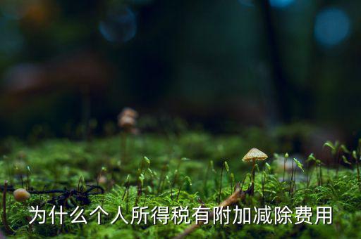 個稅減除費用是什么，個人所得稅費用扣除什么意思