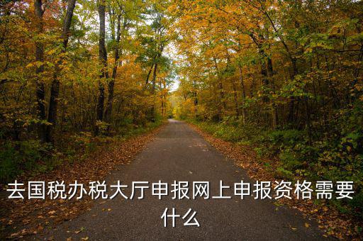 國(guó)稅網(wǎng)上申報(bào)用什么資料，去國(guó)稅辦稅大廳申報(bào)網(wǎng)上申報(bào)資格需要什么