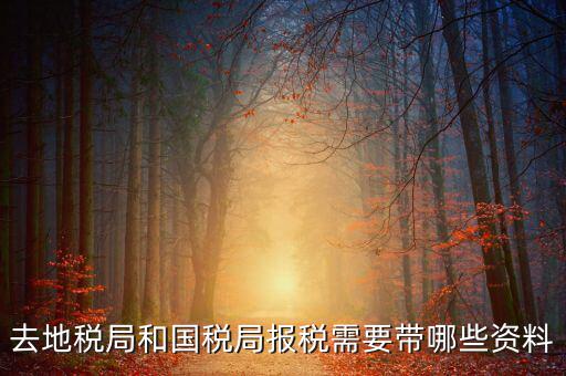 國稅報(bào)稅需要什么材料，去地稅局和國稅局報(bào)稅需要帶哪些資料
