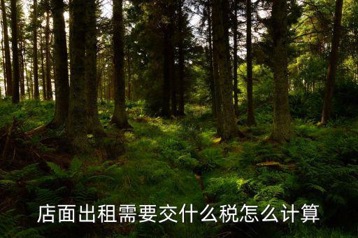 商鋪出租房屋交什么稅，商鋪出租應(yīng)交哪些稅