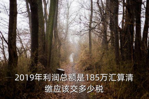 匯算清繳交什么稅，年度匯算清繳應(yīng)交稅率是多少